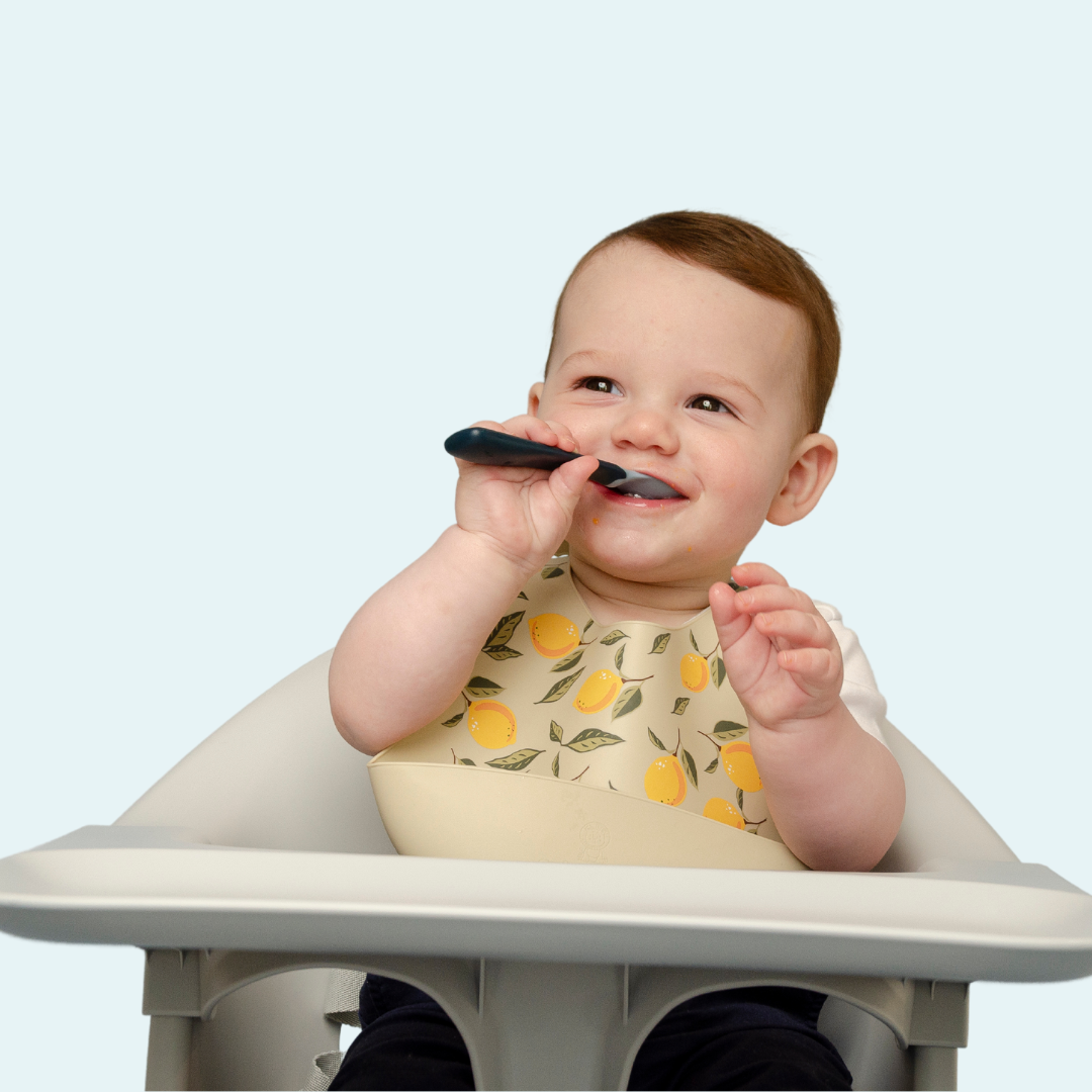 LemonZest Silicone Baby Bib