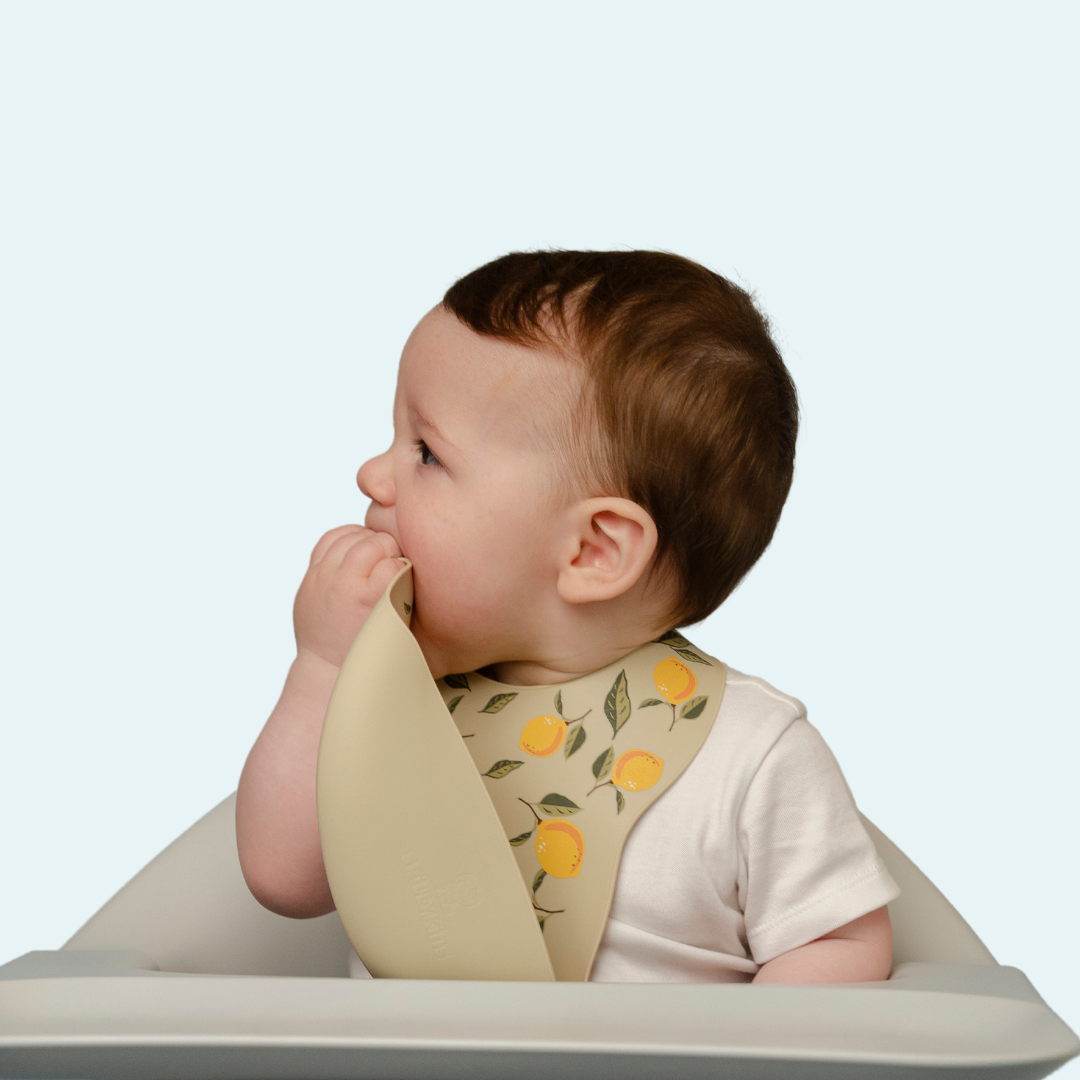 LemonZest Silicone Baby Bib