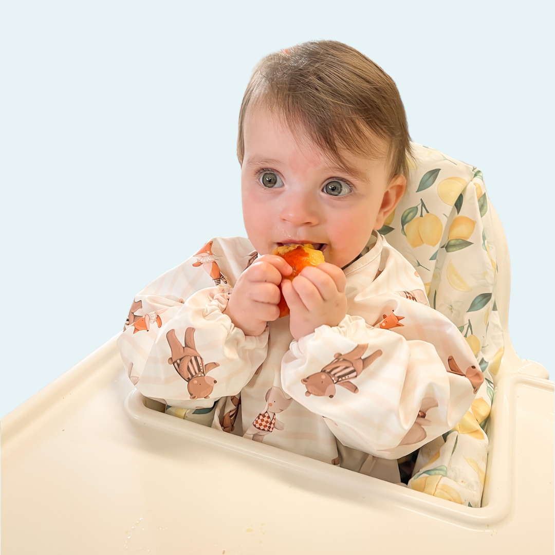 Under The Big Top Long Sleeve Bib