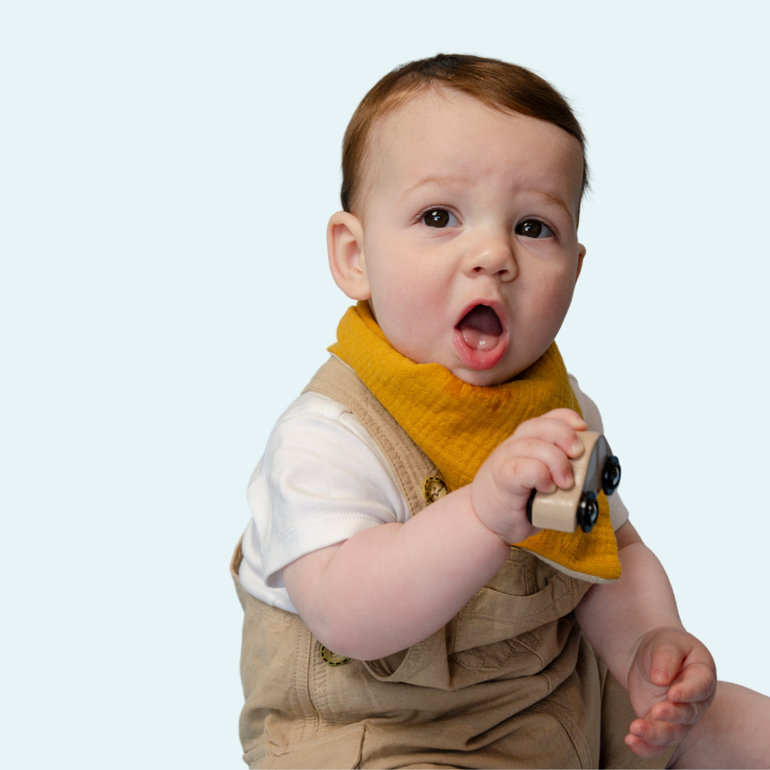 Golden Sunshine Reversible Cotton Bandana Bib