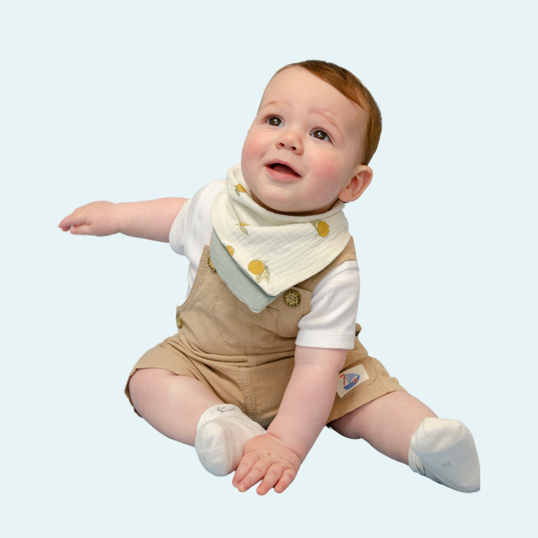 Lemon Fresh Reversible Cotton Bandana Bib