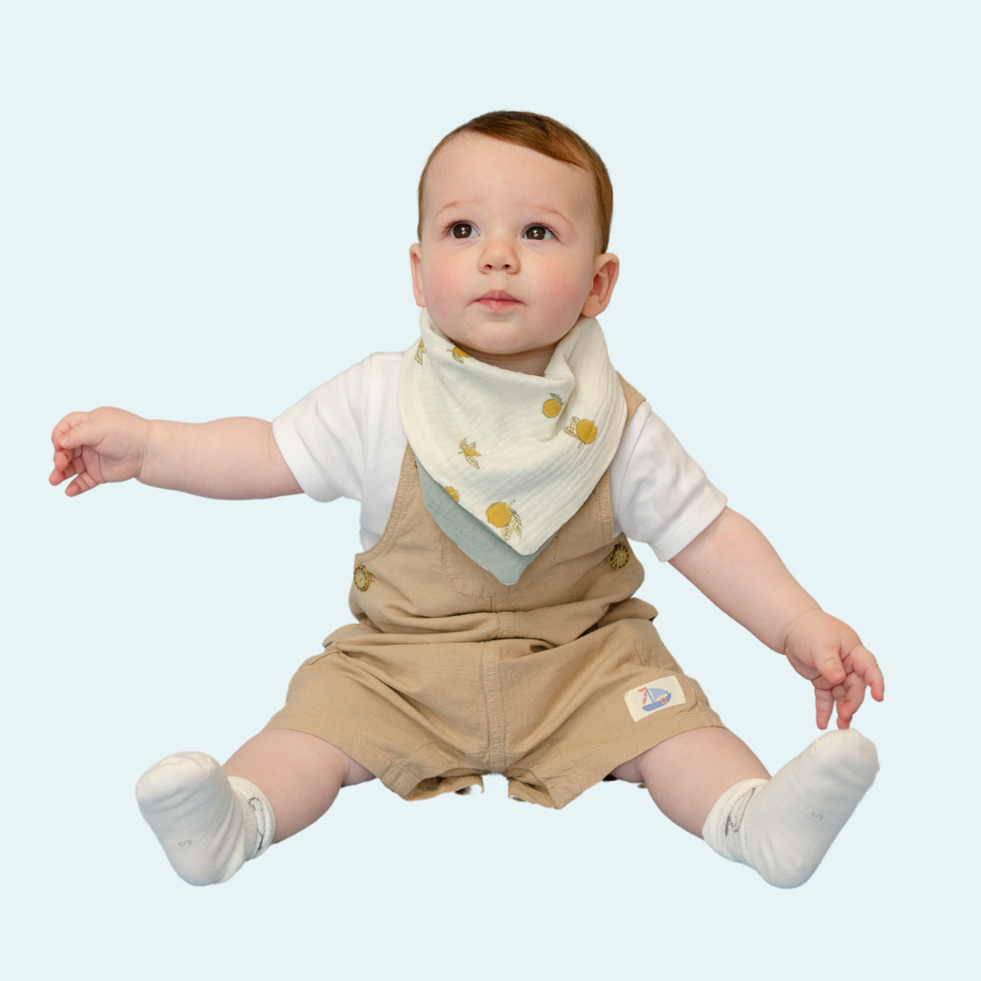 Lemon Fresh Reversible Cotton Bandana Bib