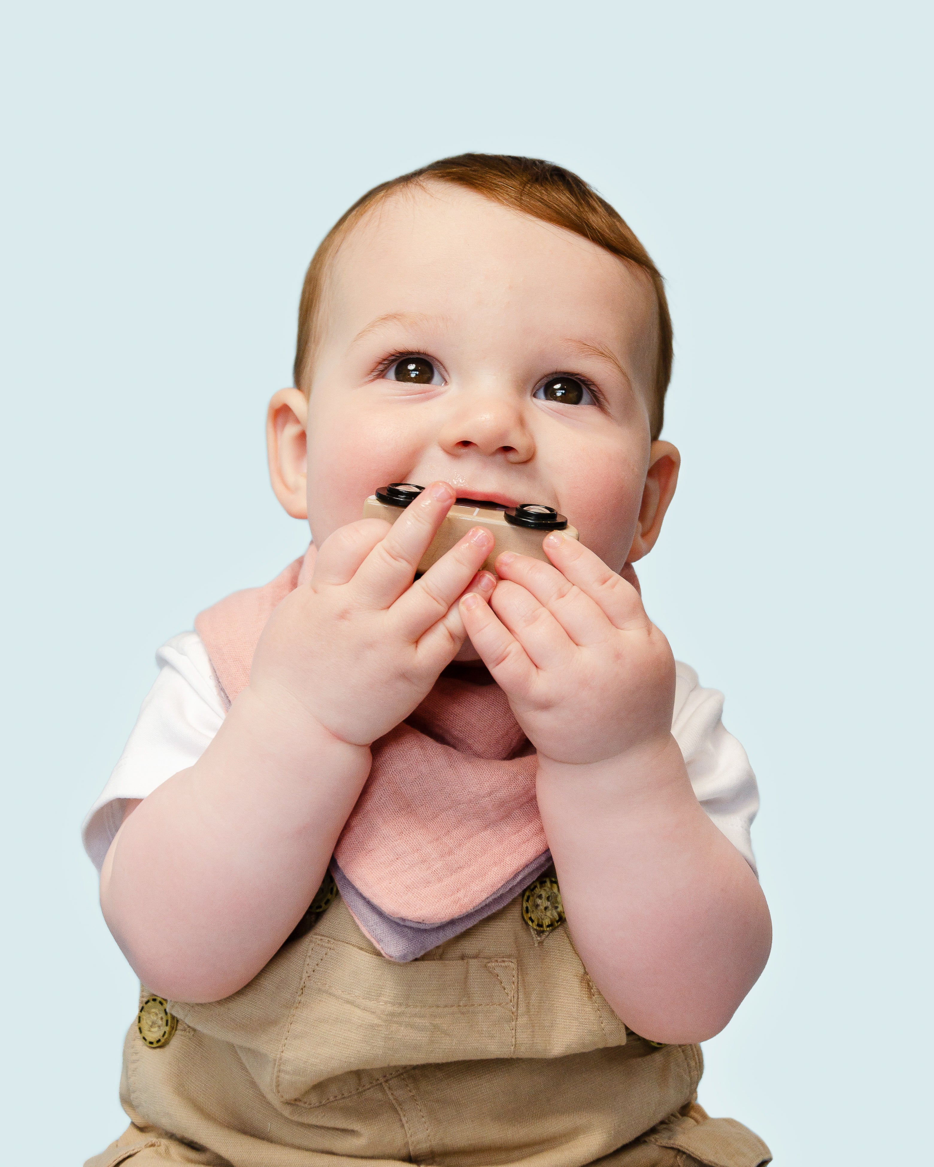 Rosy Hues Reversible Cotton Bandana Bib