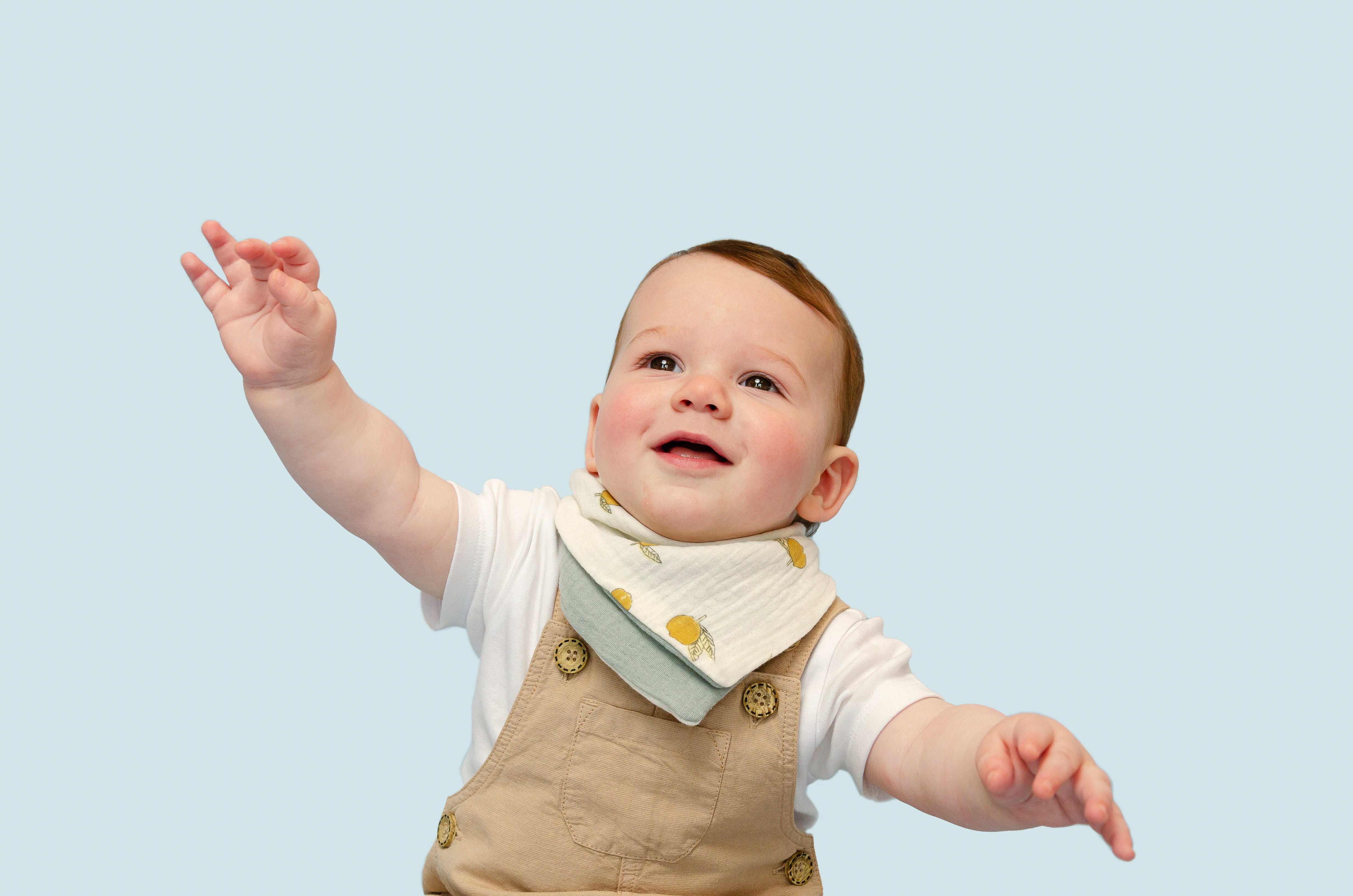 Lemon Fresh Reversible Cotton Bandana Bib