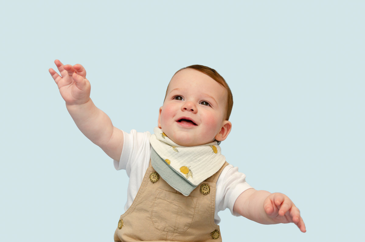 Lemon Fresh Reversible Cotton Bandana Bib
